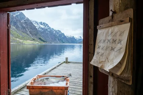 Sesongkalender for turistfiske i Norge