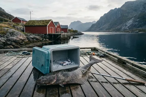 Trofefisken fjernet: hva betyr det for gjestene?